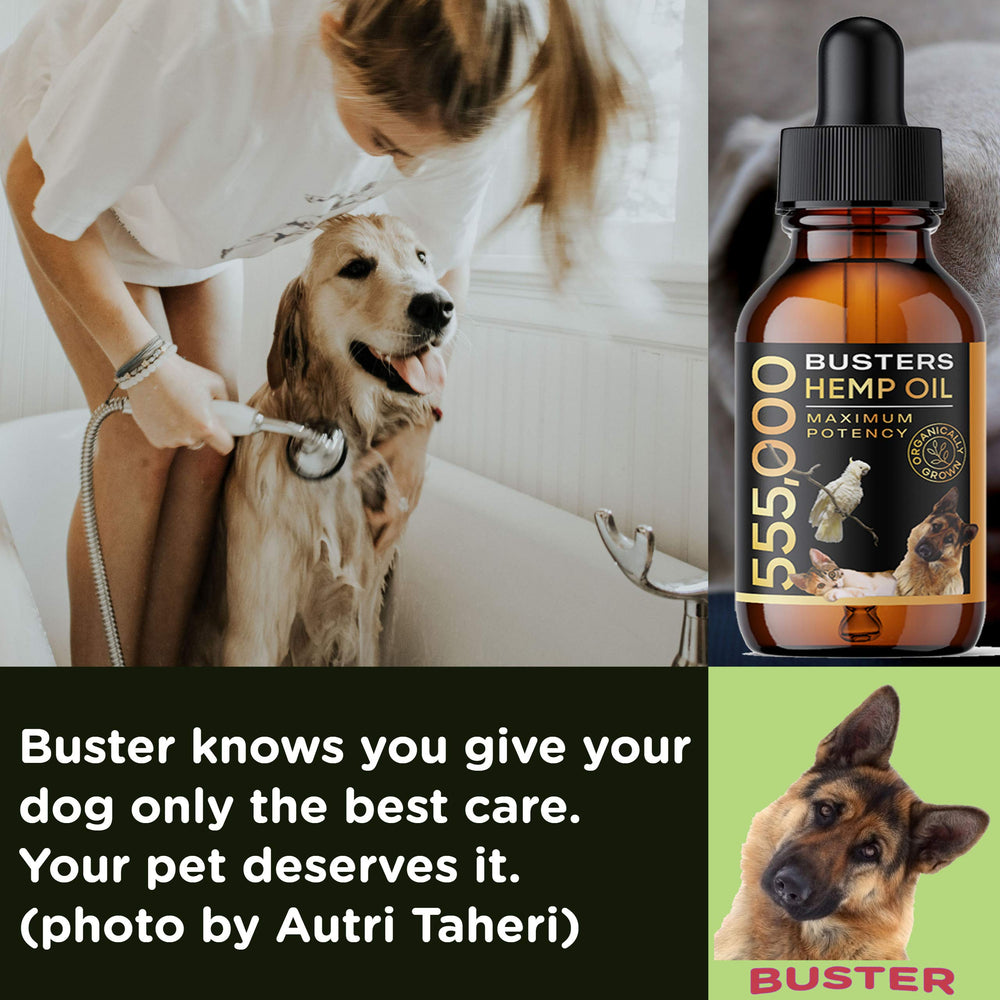 K2xLabs Busters calming effect visual suggests pet relaxation
