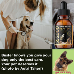 K2xLabs Busters drops served with dog meal for balanced energy