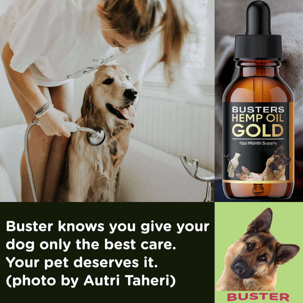 K2xLabs Buster's Gold after-surgery joint support visualization