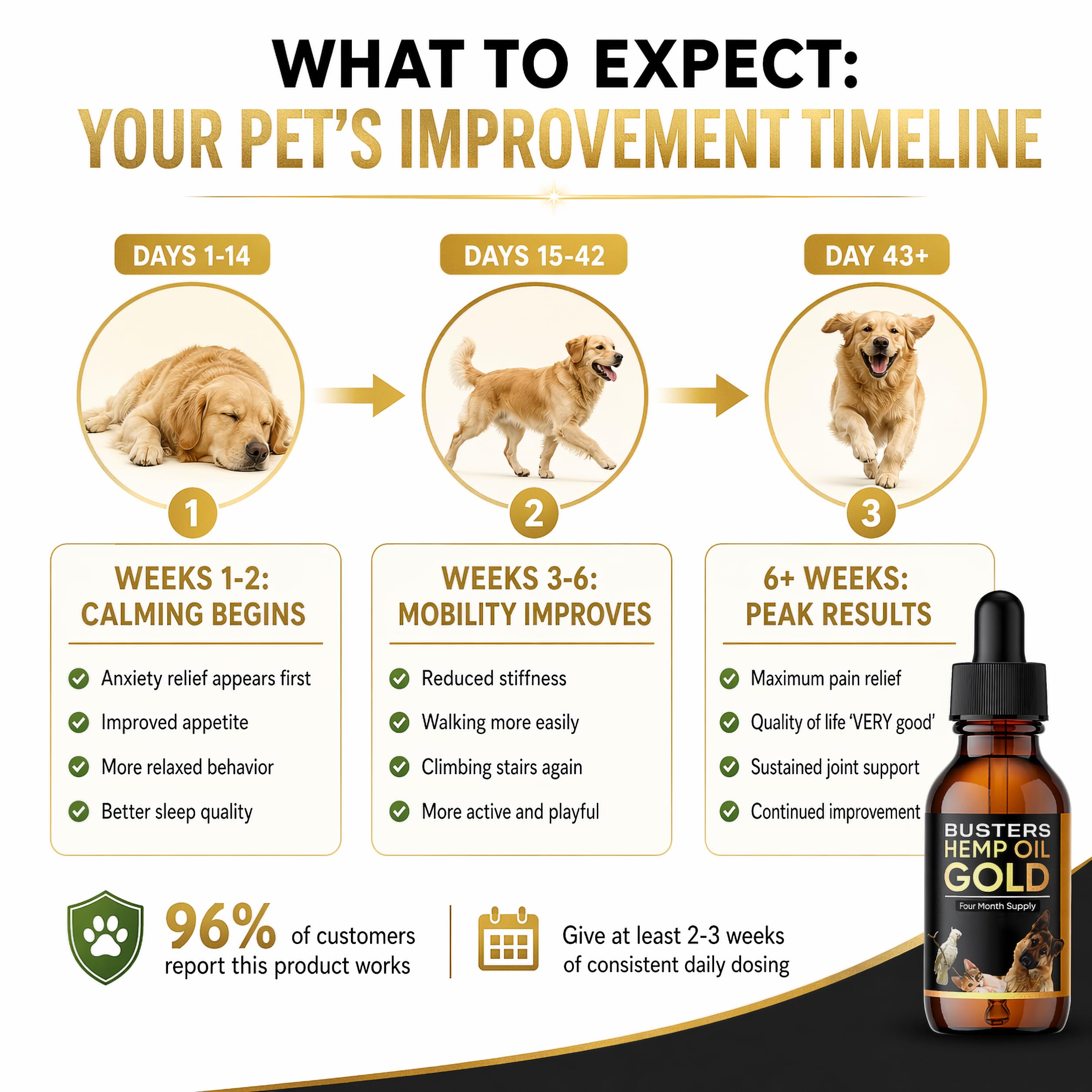 K2xLabs Buster's Gold bottle with dog illustration signals suitability for all sizes