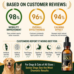 K2xLabs Buster's Gold dropper close-up highlights calming support for pets