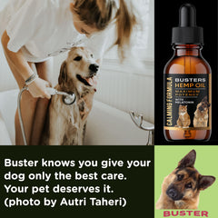 K2xLabs Buster's certificate of analysis confirms third-party safety and potency.