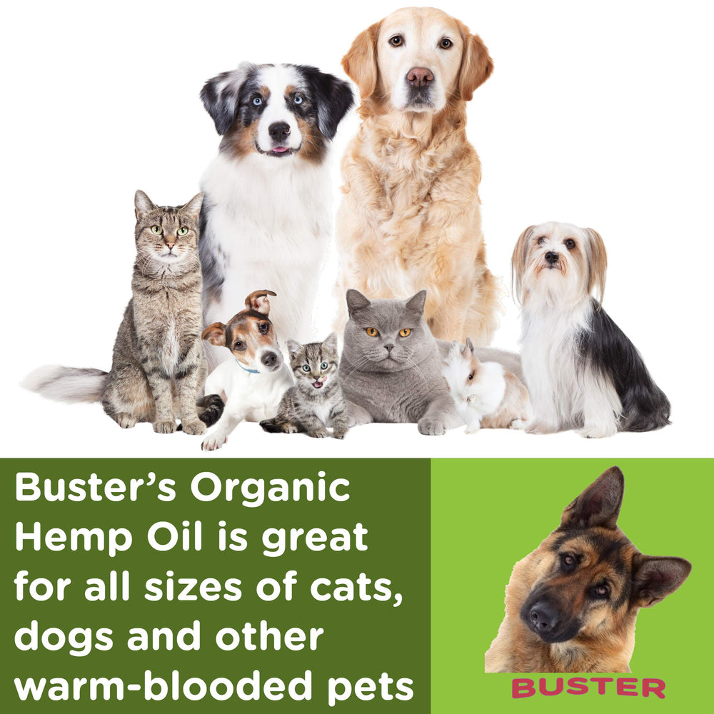 K2xLabs Busters Hemp Oil dropper demonstrates controlled administration.