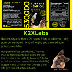 K2xLabs Busters Hemp Oil packaging box showcases the 2-pack value.