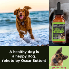 K2xLabs Busters promotes calm moments for dogs and cats.