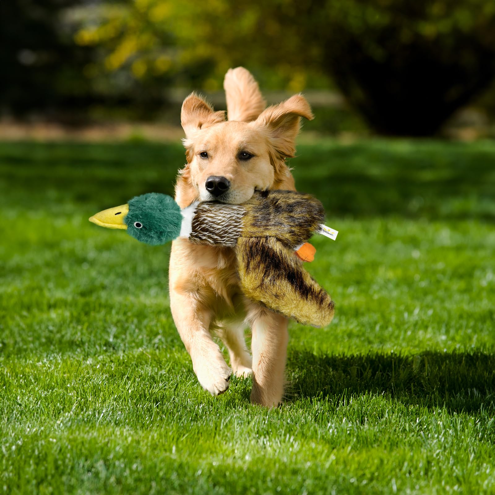 k8PurrDog large squeaky duck toy triple-sound design improves play engagement.