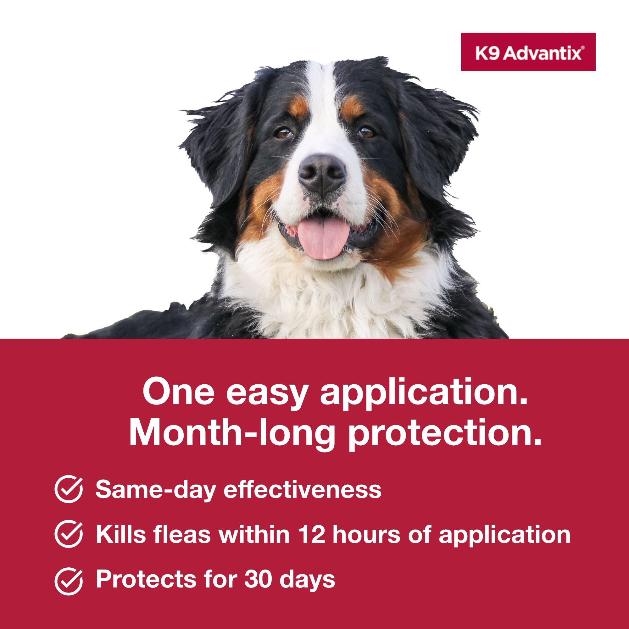 K9 Advantix Extra Large dog outdoors after treatment suggests ongoing protection.