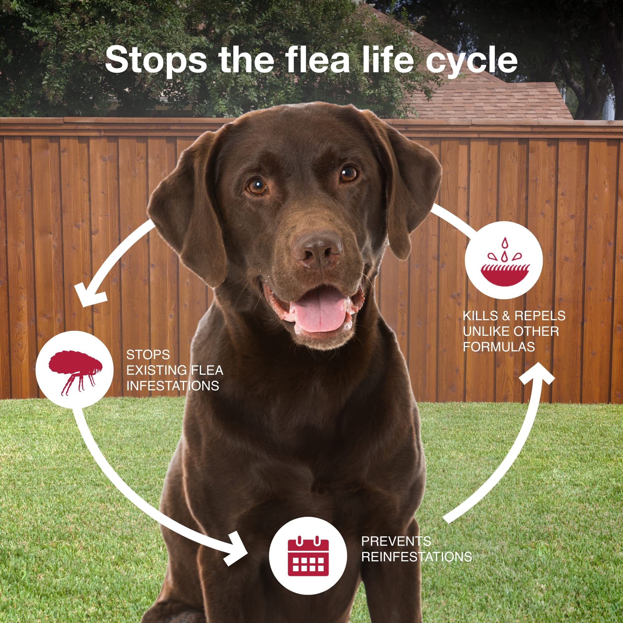 K9 Advantix II large dog application dropper enables fast onset.