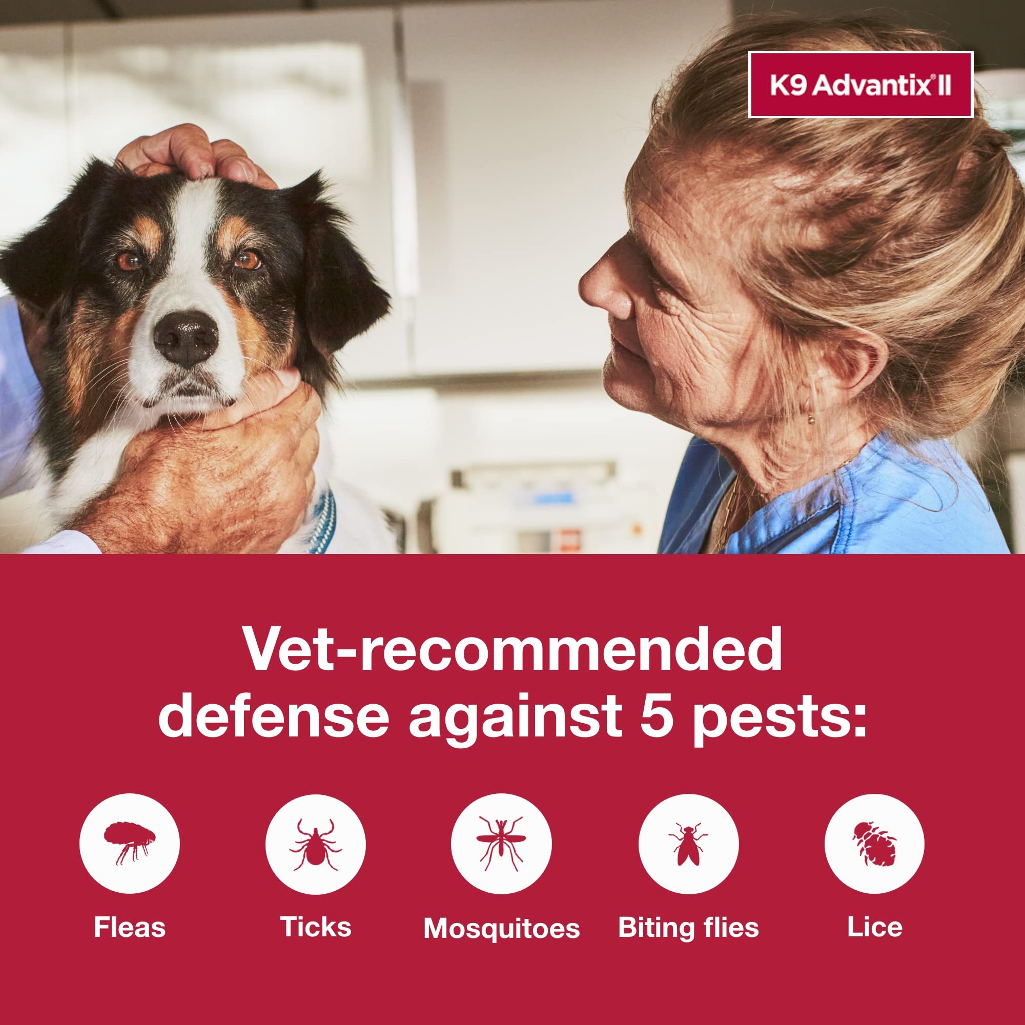 K9 Advantix II kills fleas within 12 hours after application.