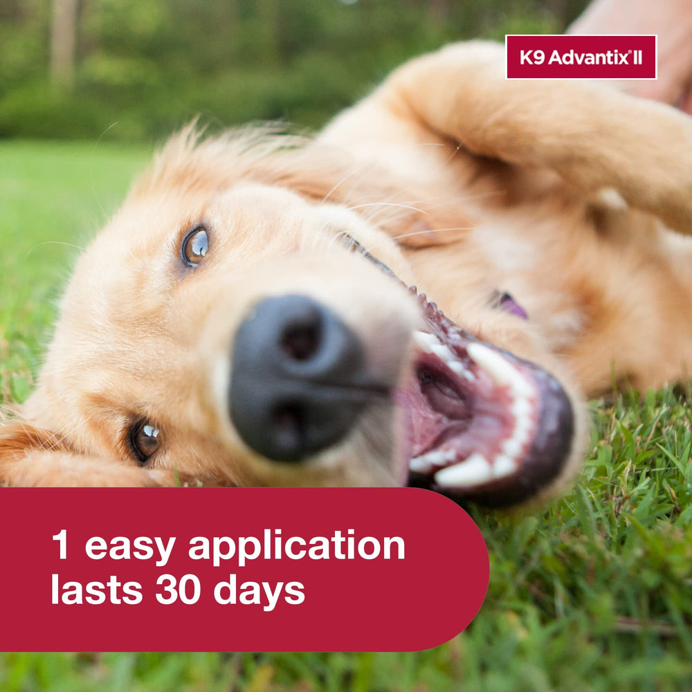 K9 Advantix II kills and repels ticks and mosquitoes on contact.
