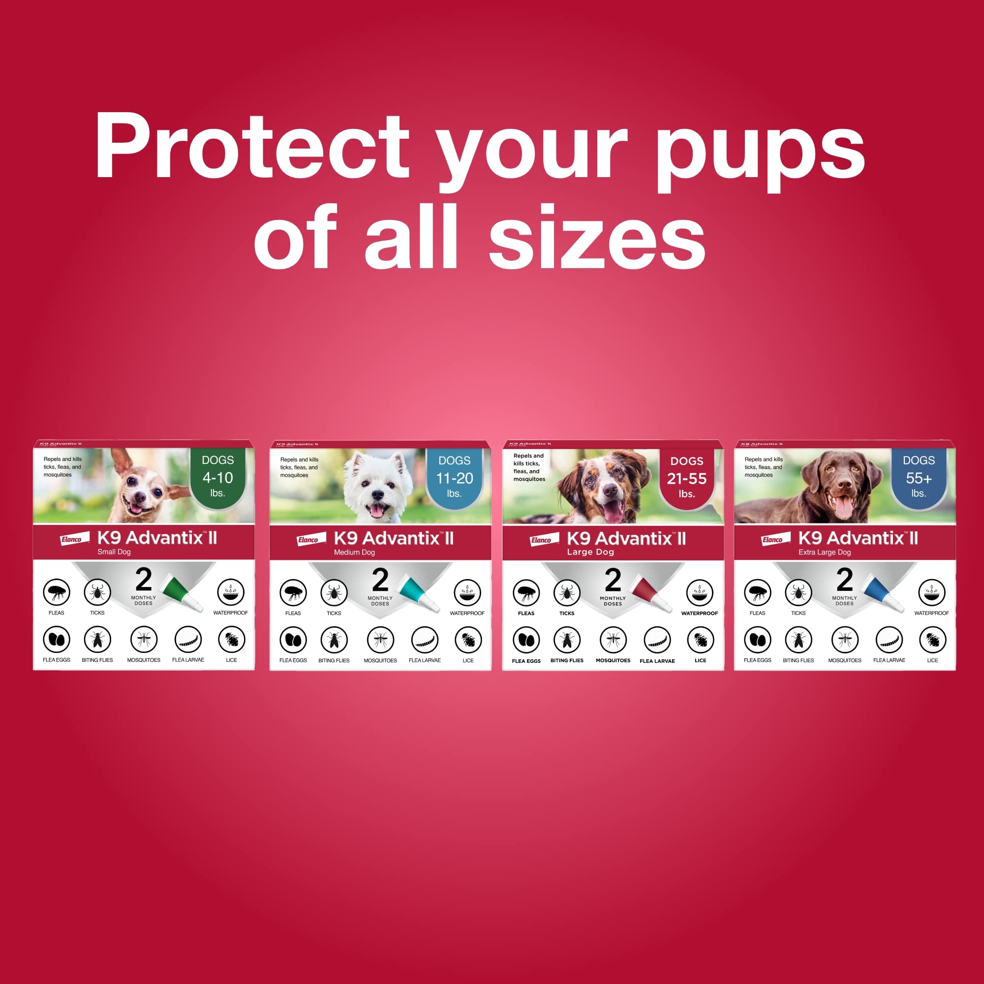 K9 Advantix II large dog pack six doses covers multiple months.