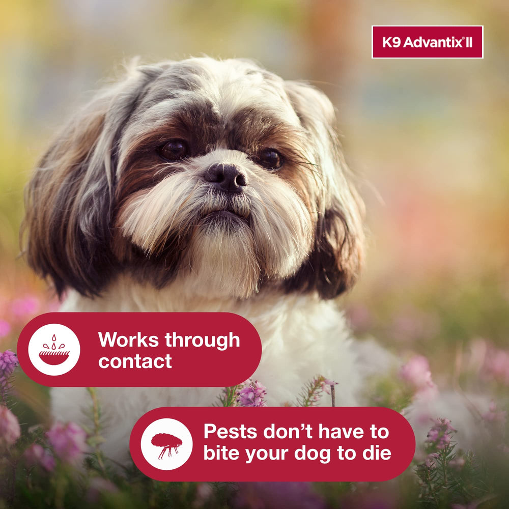 K9 Advantix II 4-10 lbs coverage for daily routines
