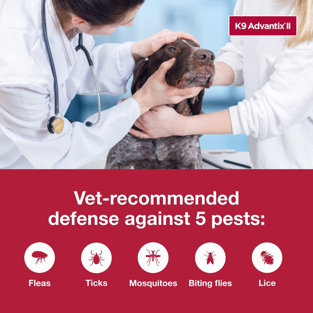 K9 Advantix II XL fragrance-free topical treatment on a calm dog.