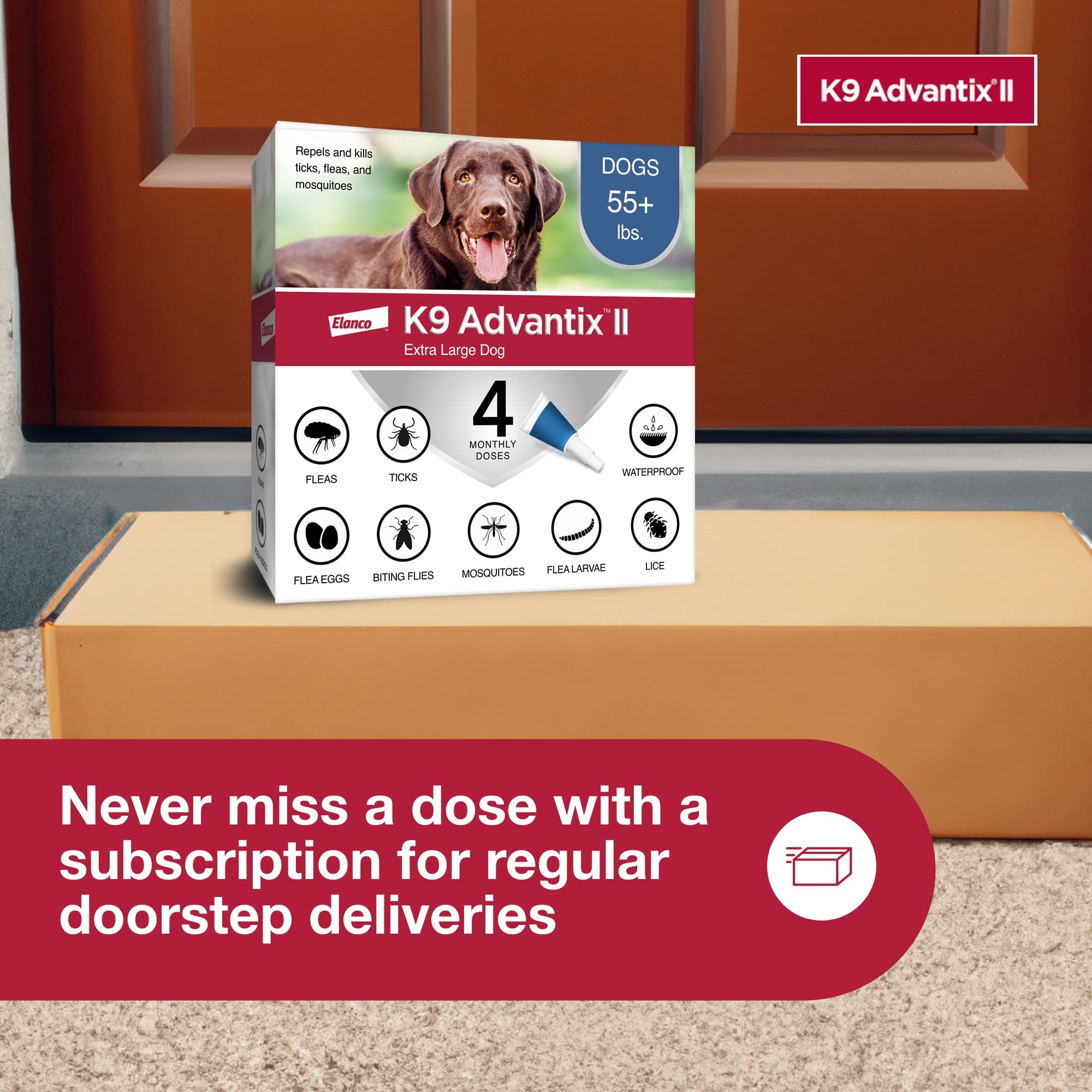 Vet-recommended K9 Advantix II XL supports dogs over 55 pounds for pest defense.