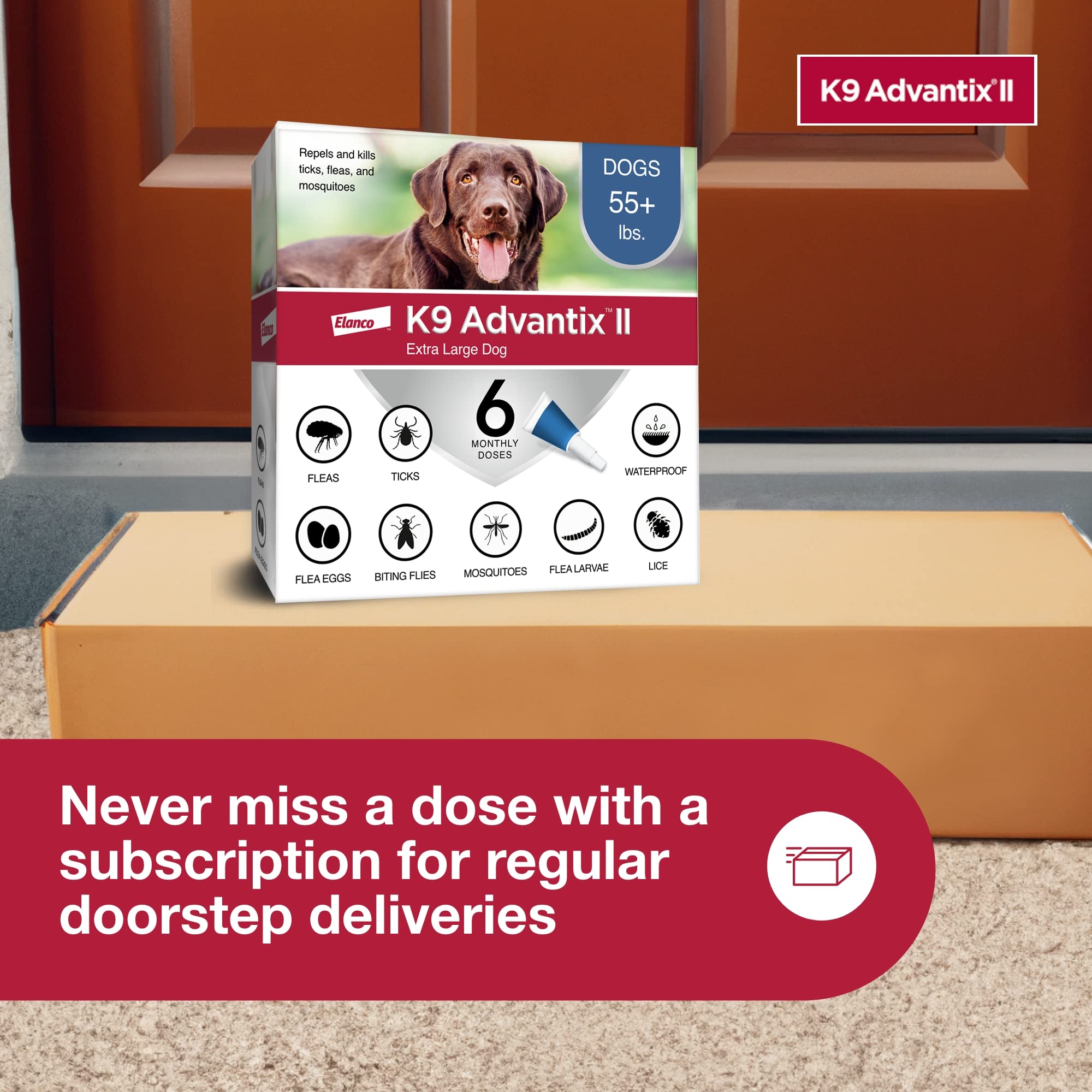 K9 Advantix II XL over-the-counter option offers convenient protection.