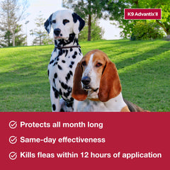 K9 Advantix II XL formula becomes waterproof after 24 hours for ongoing protection.