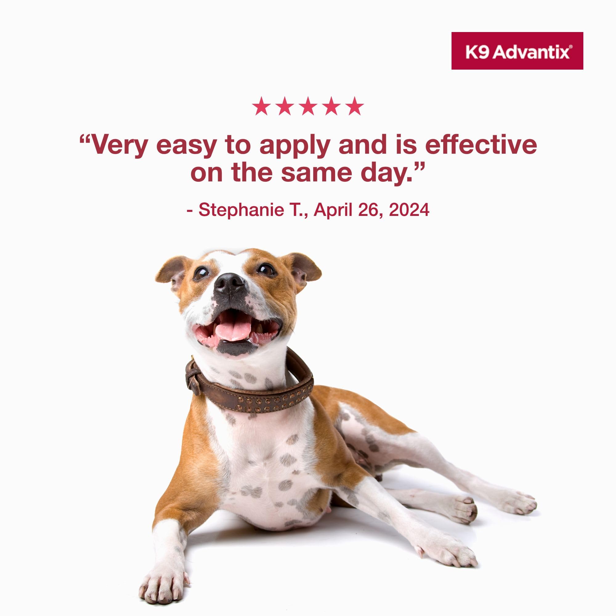 K9 Advantix Large Dog fragrance-free formula for sensitive dogs