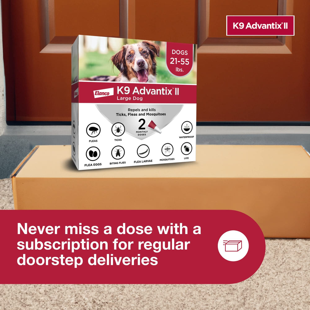 K9 Advantix large dog kills fleas within 12 hours.