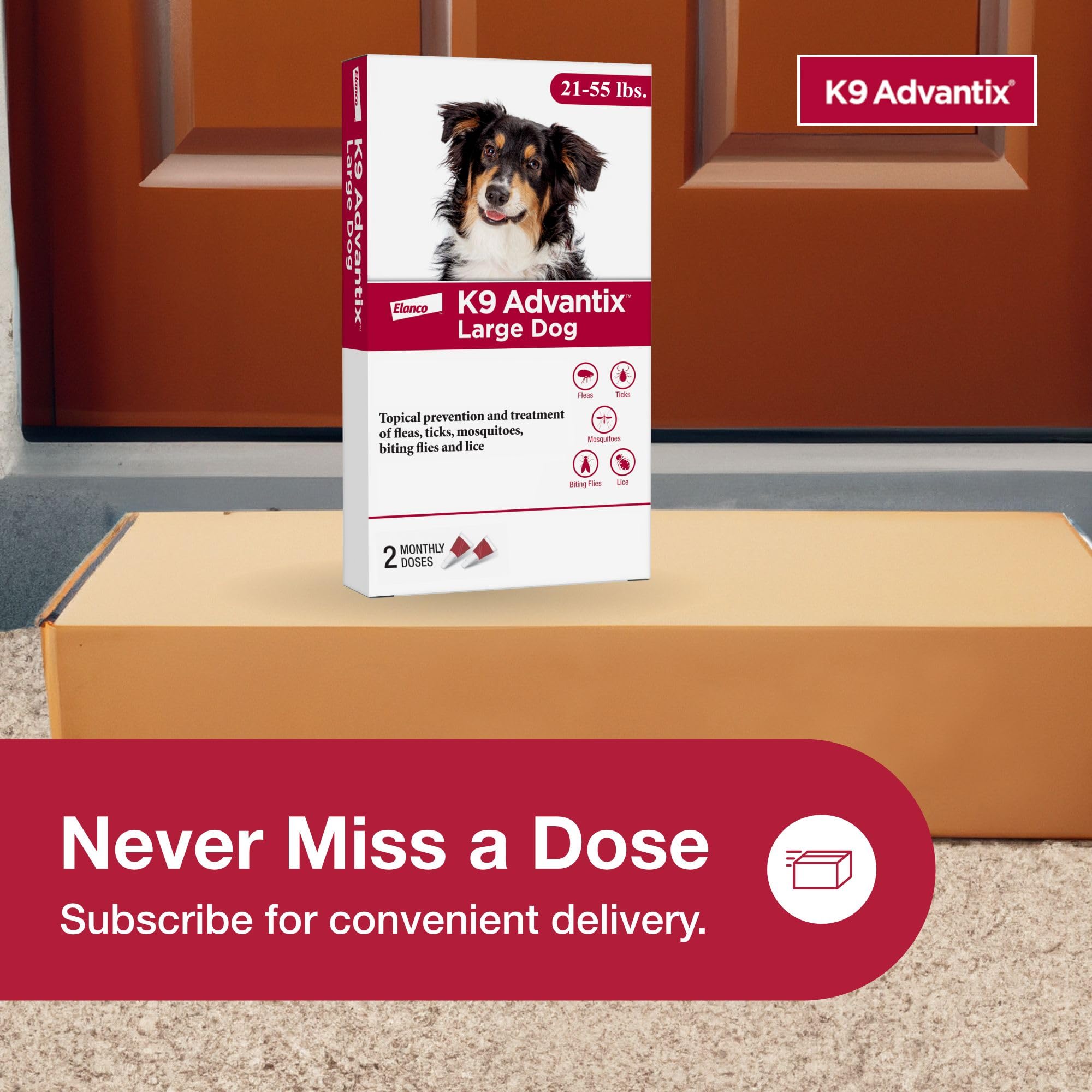 K9 Advantix Large Dog two-treatment package provides monthly protection