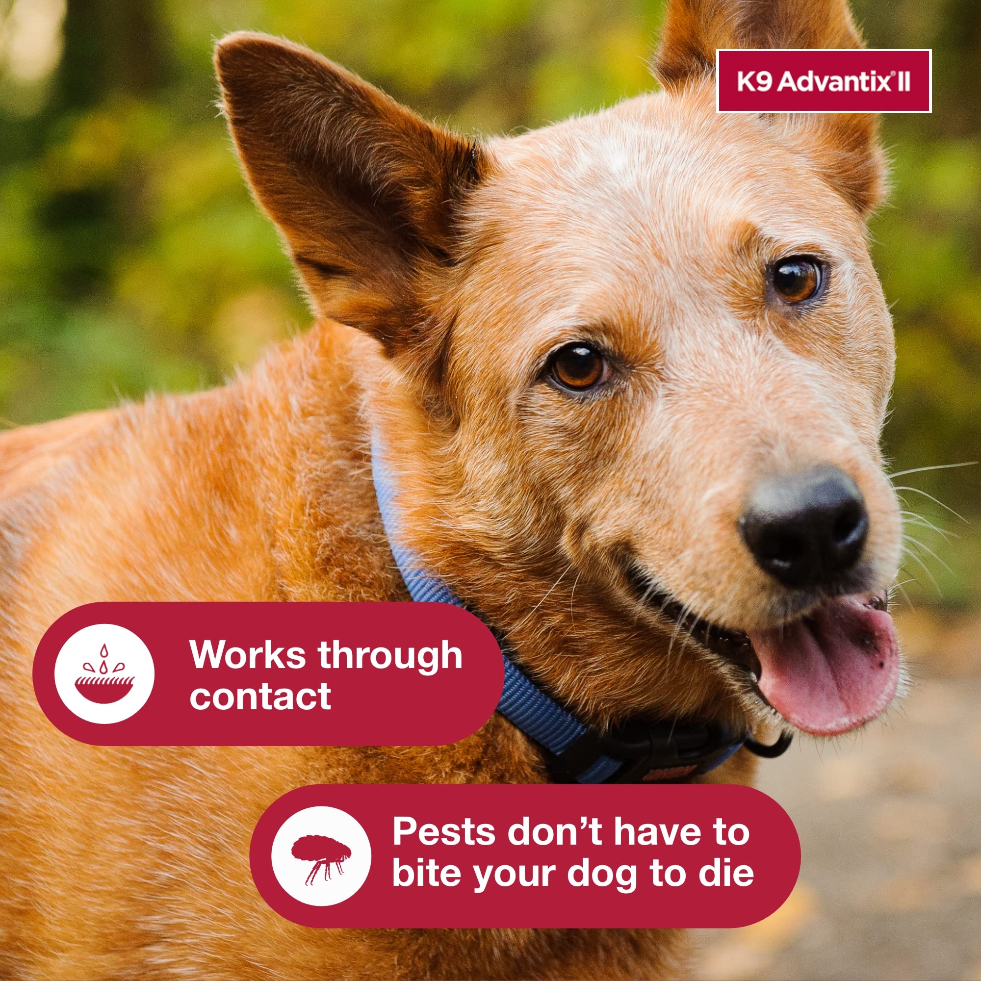 K9 Advantix large dog multi-dose packs help prevent missed treatments.