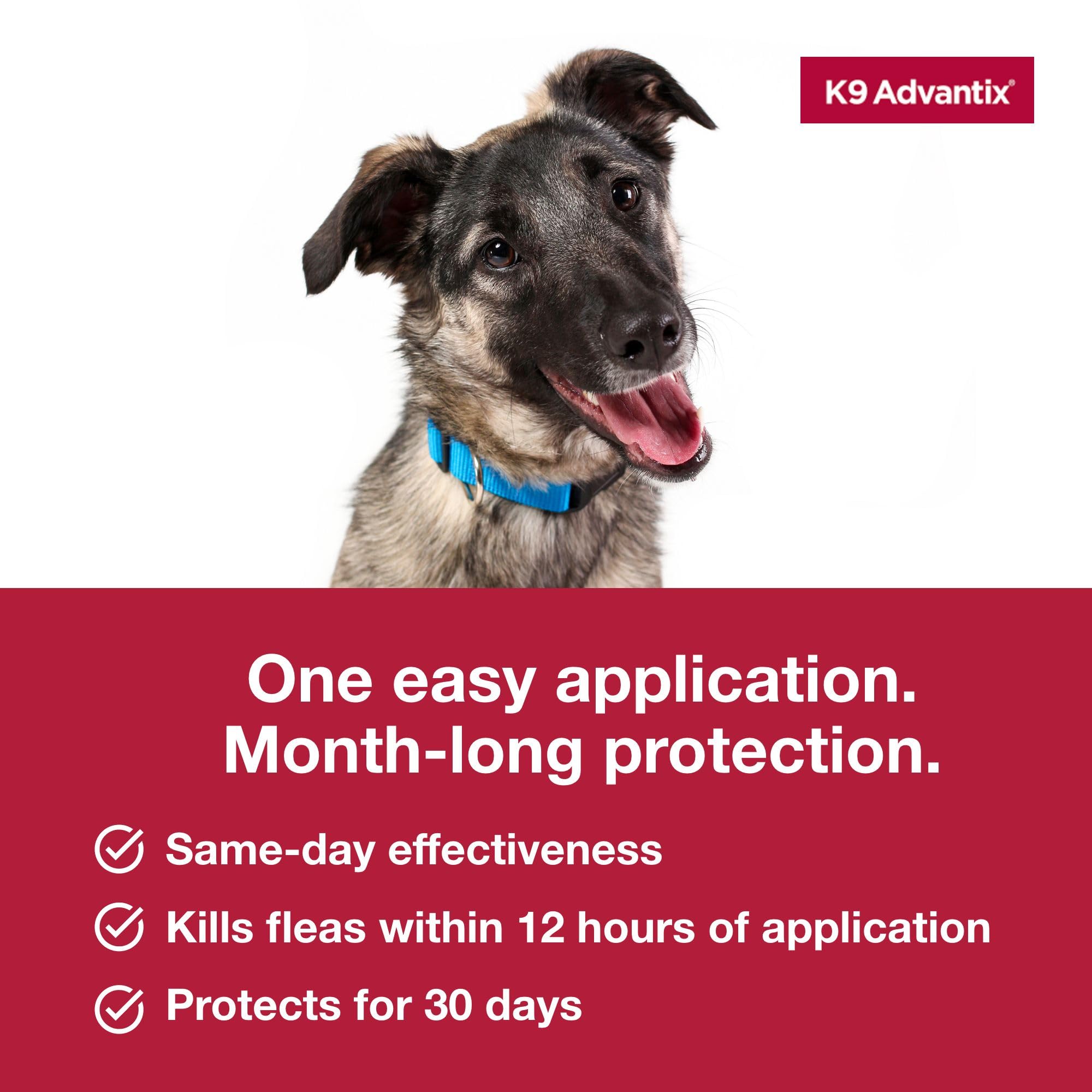 K9 Advantix Large Dog is waterproof after 24 hours