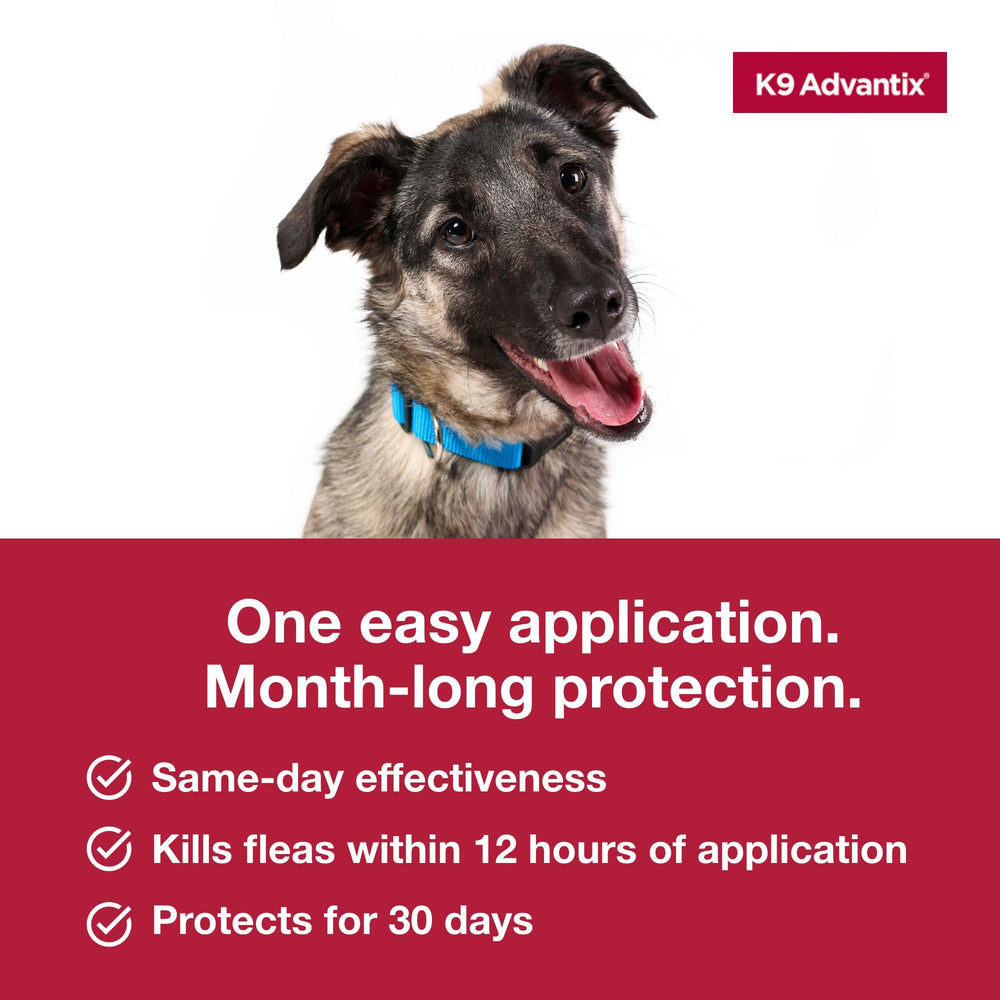 K9 Advantix Large Dog is waterproof after 24 hours