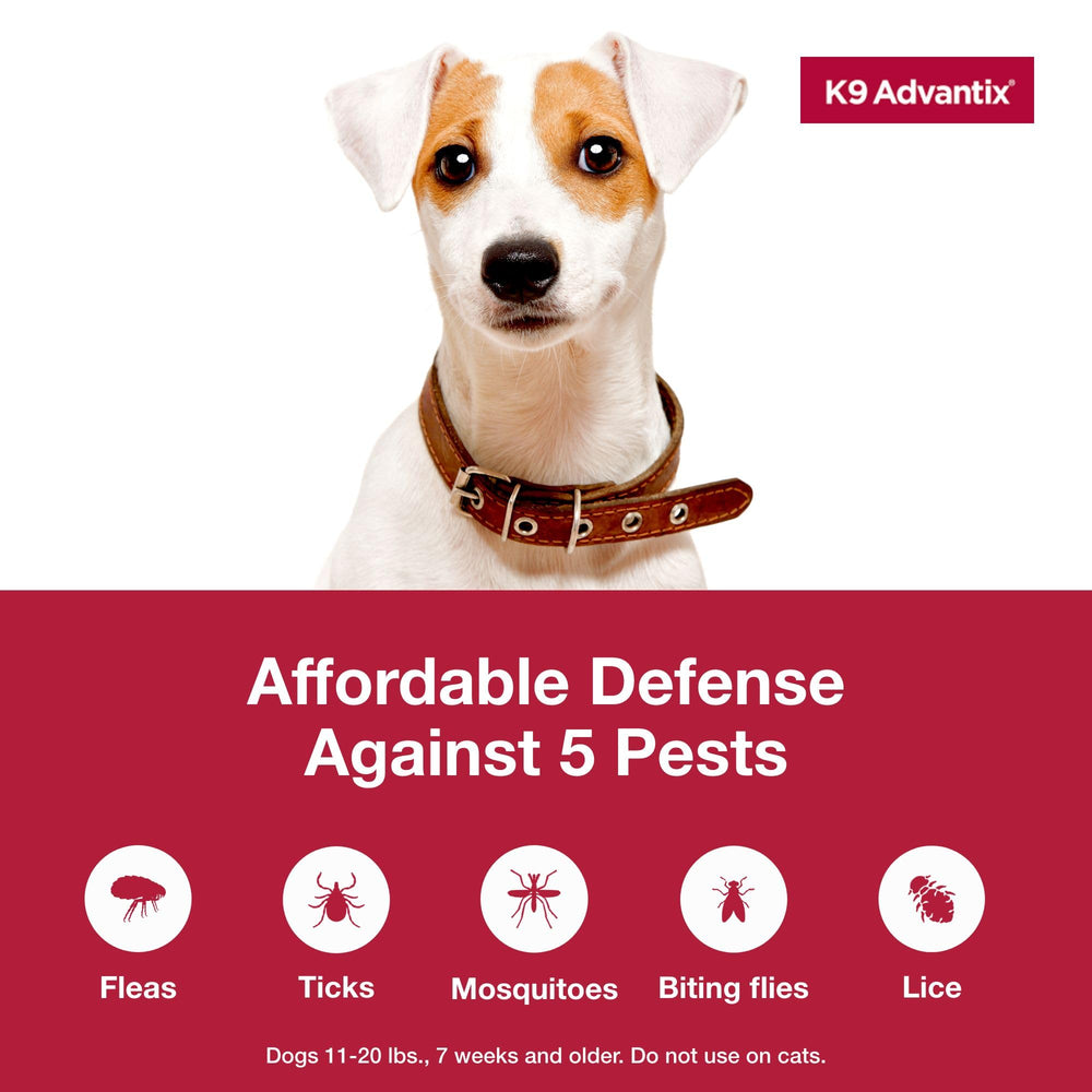K9 Advantix medium dog flea-kill on contact illustrates rapid relief