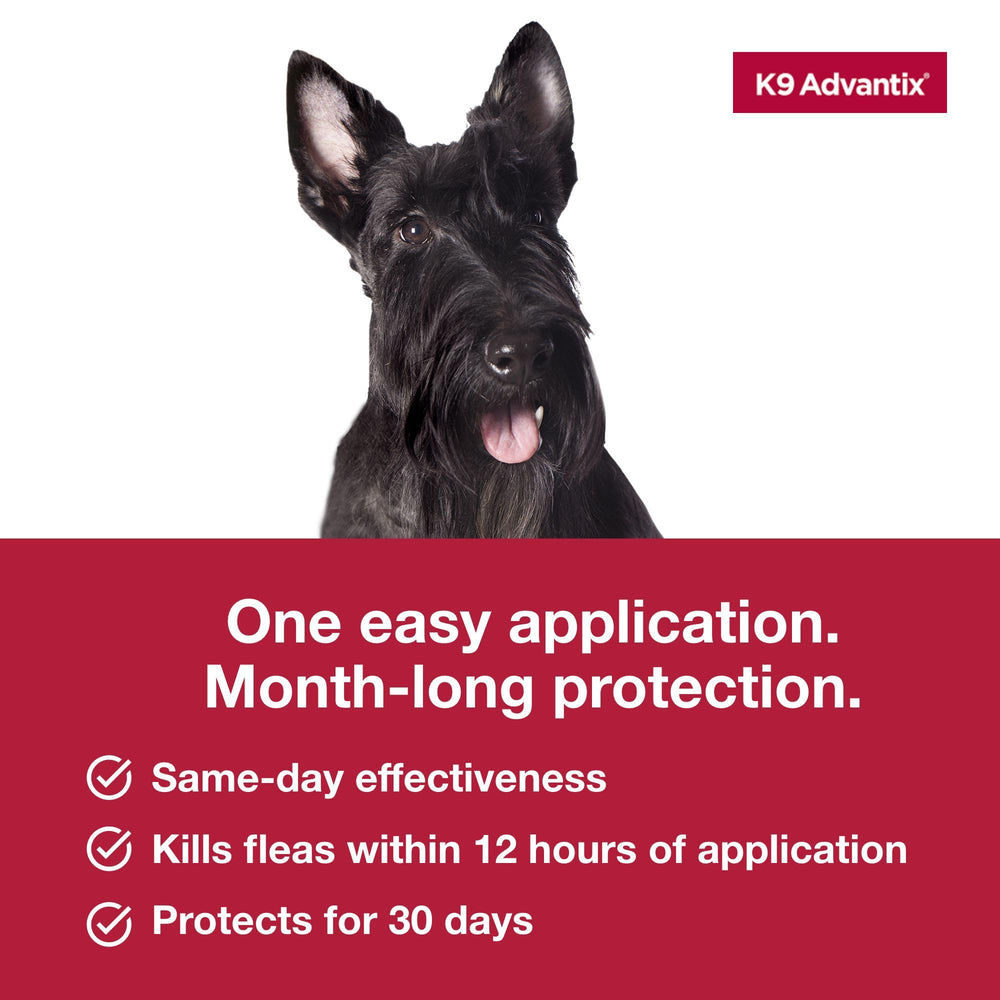 K9 Advantix fragrance-free formula applied topically on a medium dog