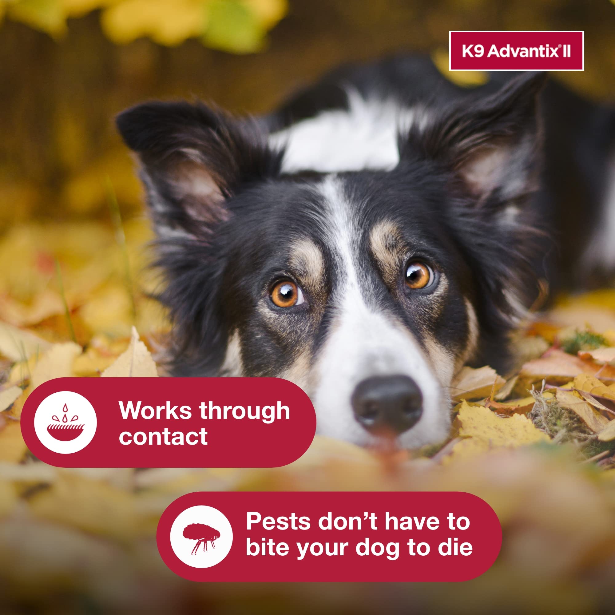 K9 Advantix II pest-coverage graphic shows fleas, ticks and mosquitoes.