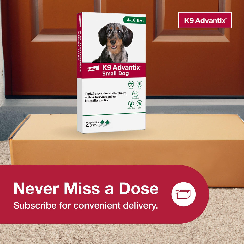K9 Advantix small dog easy application area showcases simple topical treatment.