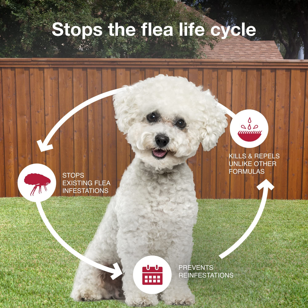 Tick protection from K9 Advantix II Small Dog in a typical application scenario.