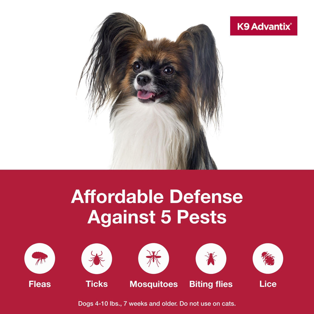 K9 Advantix small dog ticks on coat highlight comprehensive pest defense.