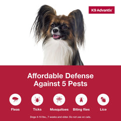 K9 Advantix small dog ticks on coat highlight comprehensive pest defense.