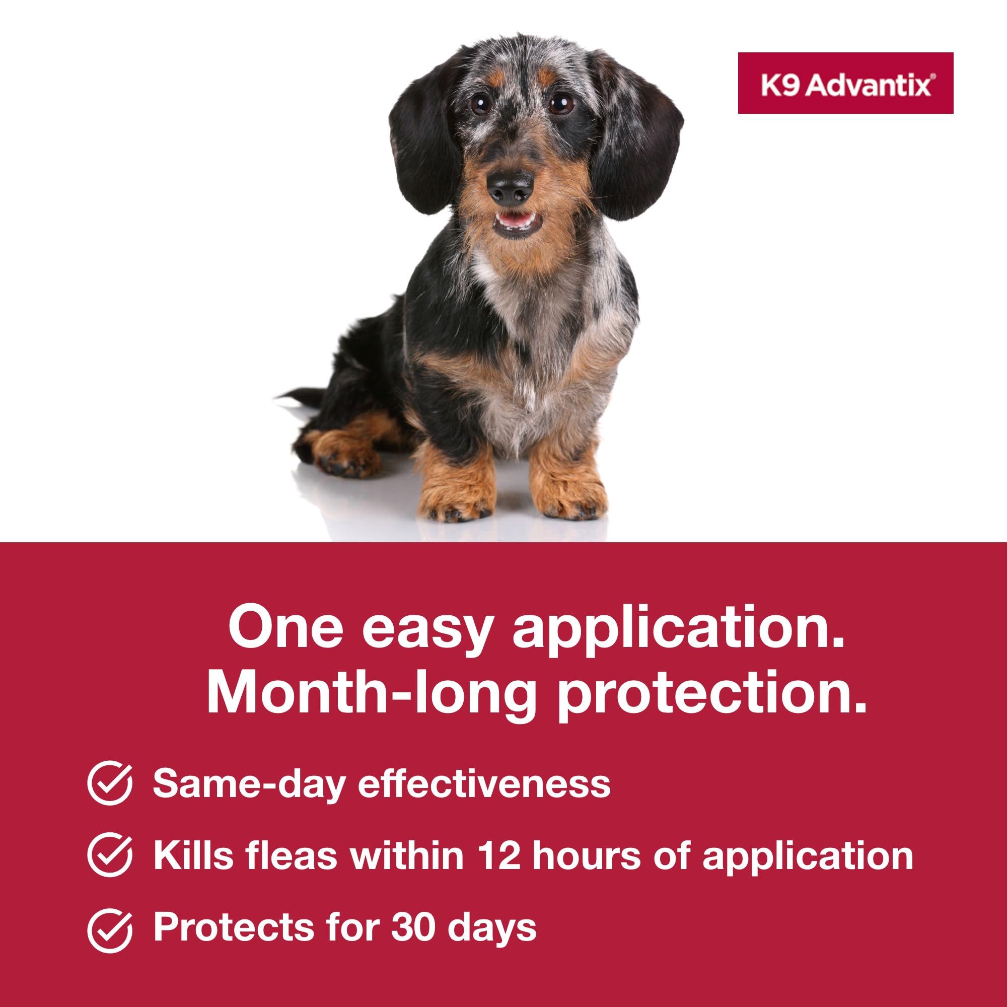 K9 Advantix small dog waterproof after 24 hours supports daily adventures.