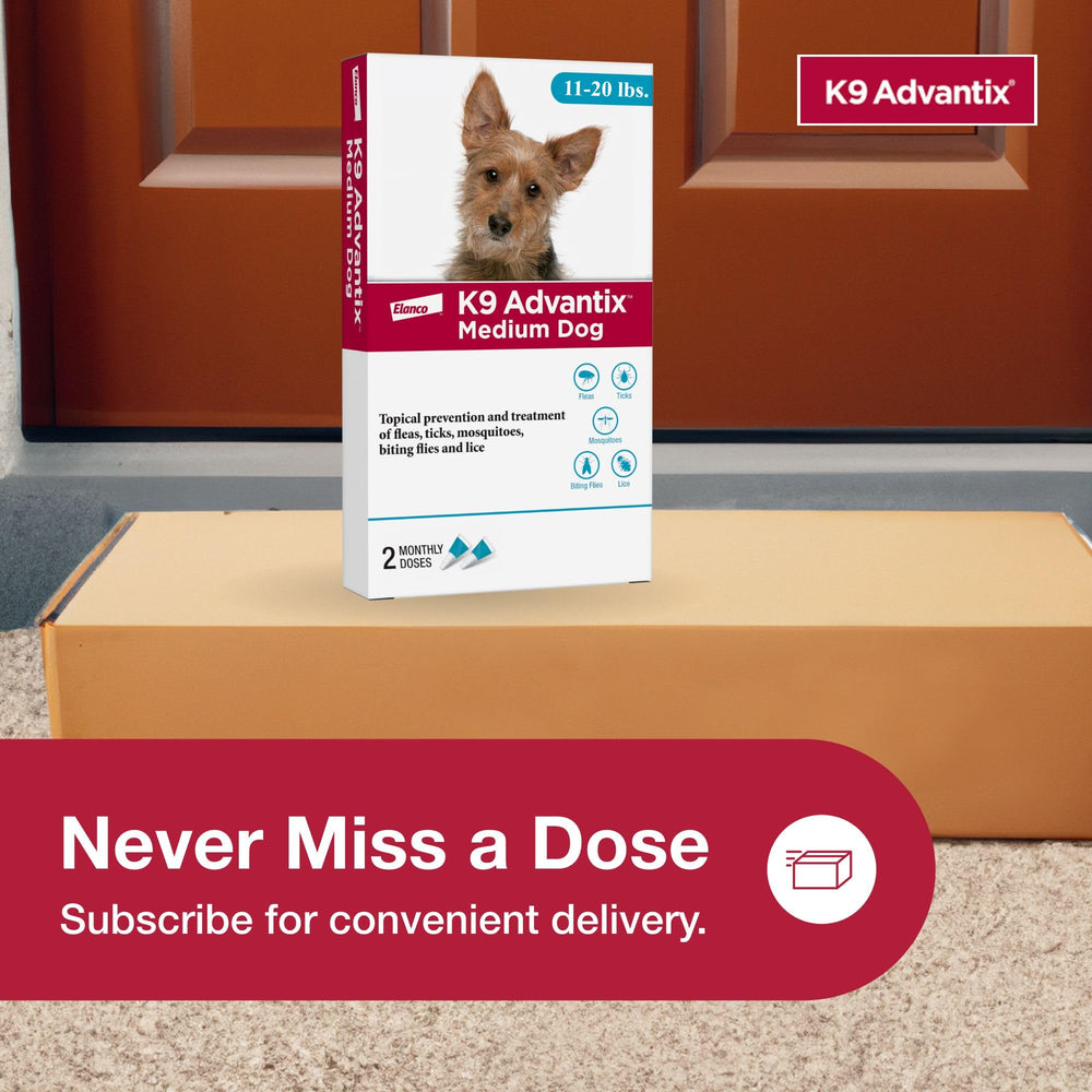 K9 Advantix two-treatments pack promotes regular monthly protection