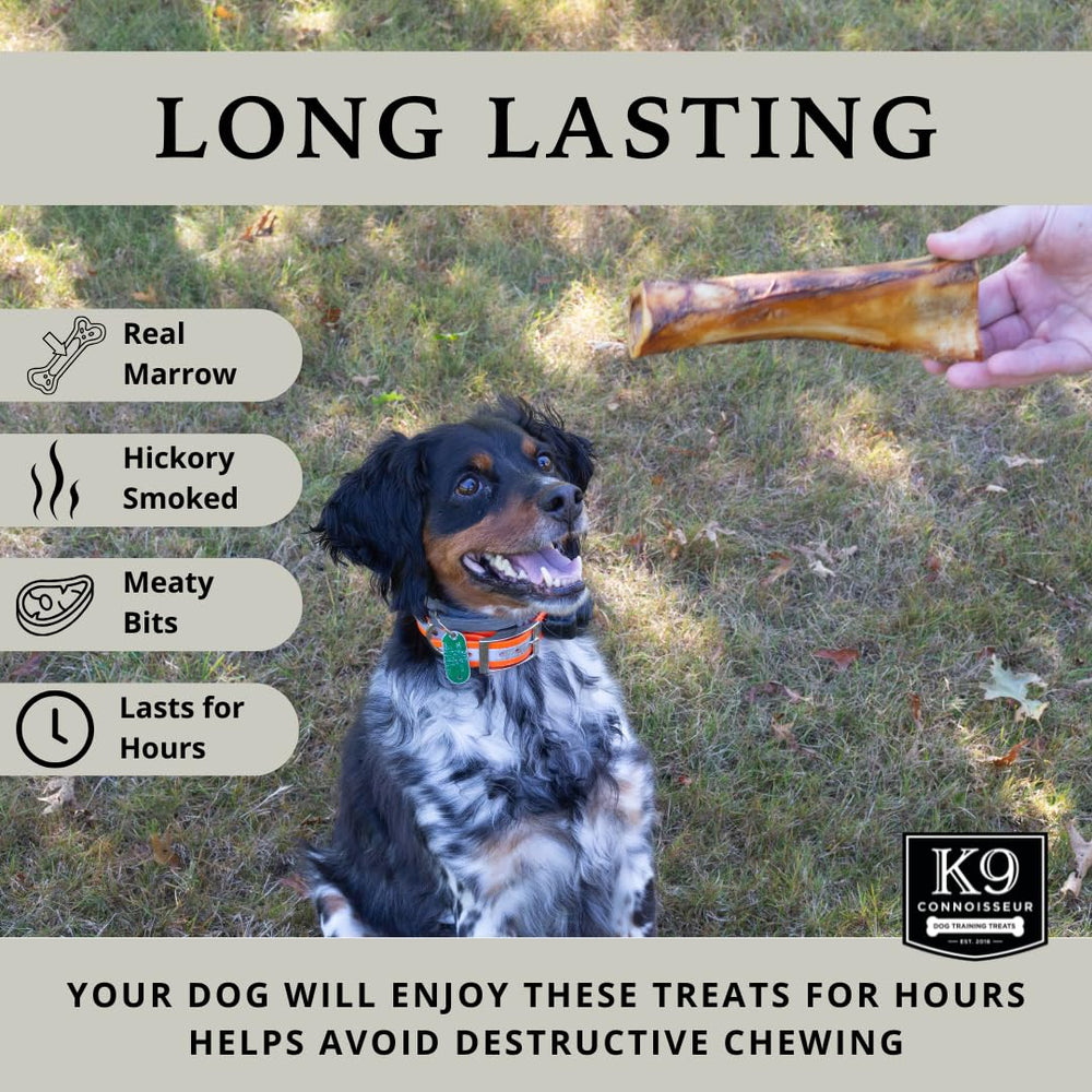 K9 Connoisseur Beef Marrow Large Dog Bone during chew session demonstrating durability