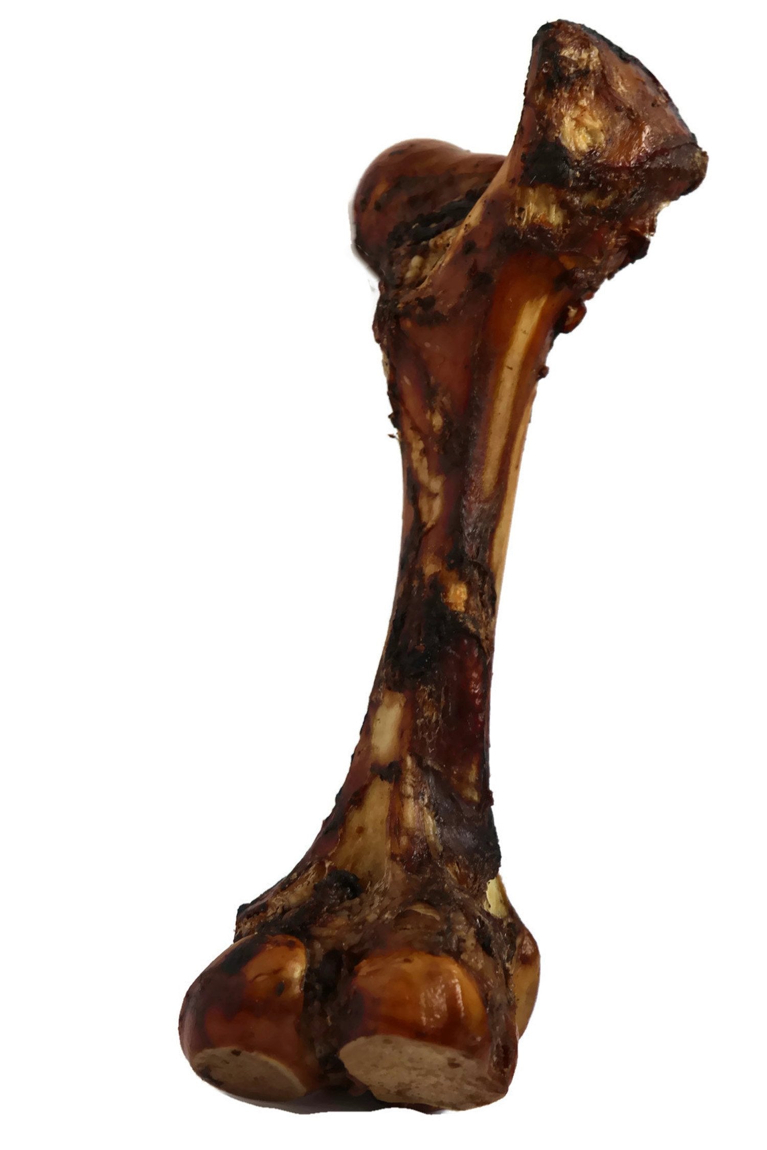 K9 Connoisseur Goliath bone with marrow for long-lasting chewing sessions.