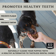 K9 Connoisseur grain-free beef lung treats on paw, ideal for dogs with sensitivities.