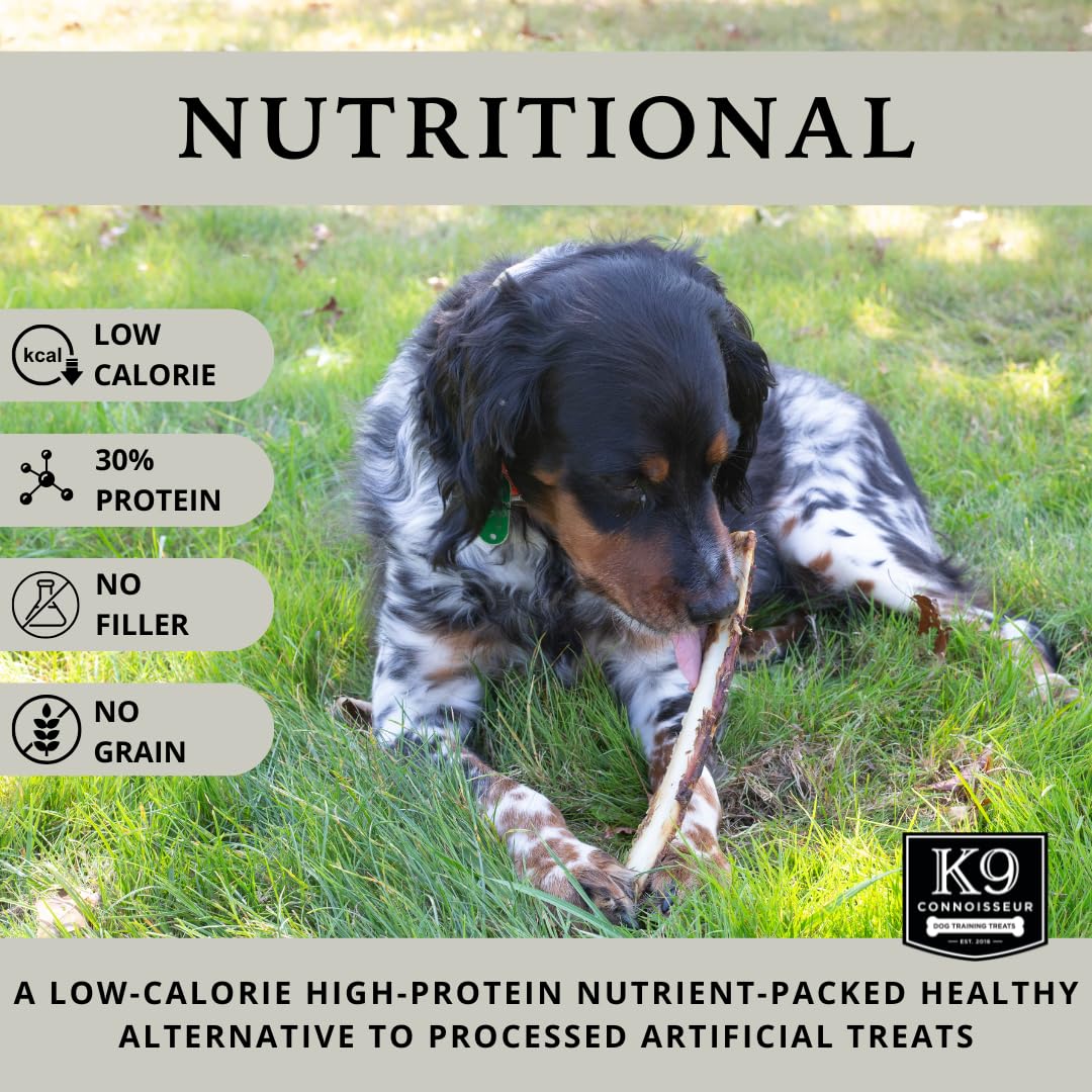 K9 Connoisseur grass fed beef rib bone close up highlights natural preservative free goodness