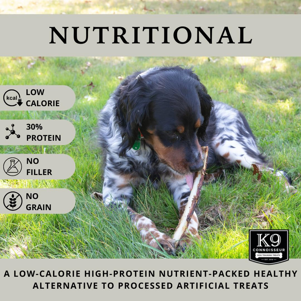 K9 Connoisseur grass fed beef rib bone close up highlights natural preservative free goodness