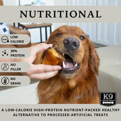 K9 Connoisseur long-lasting chew with real marrow visible for extended chewing sessions.