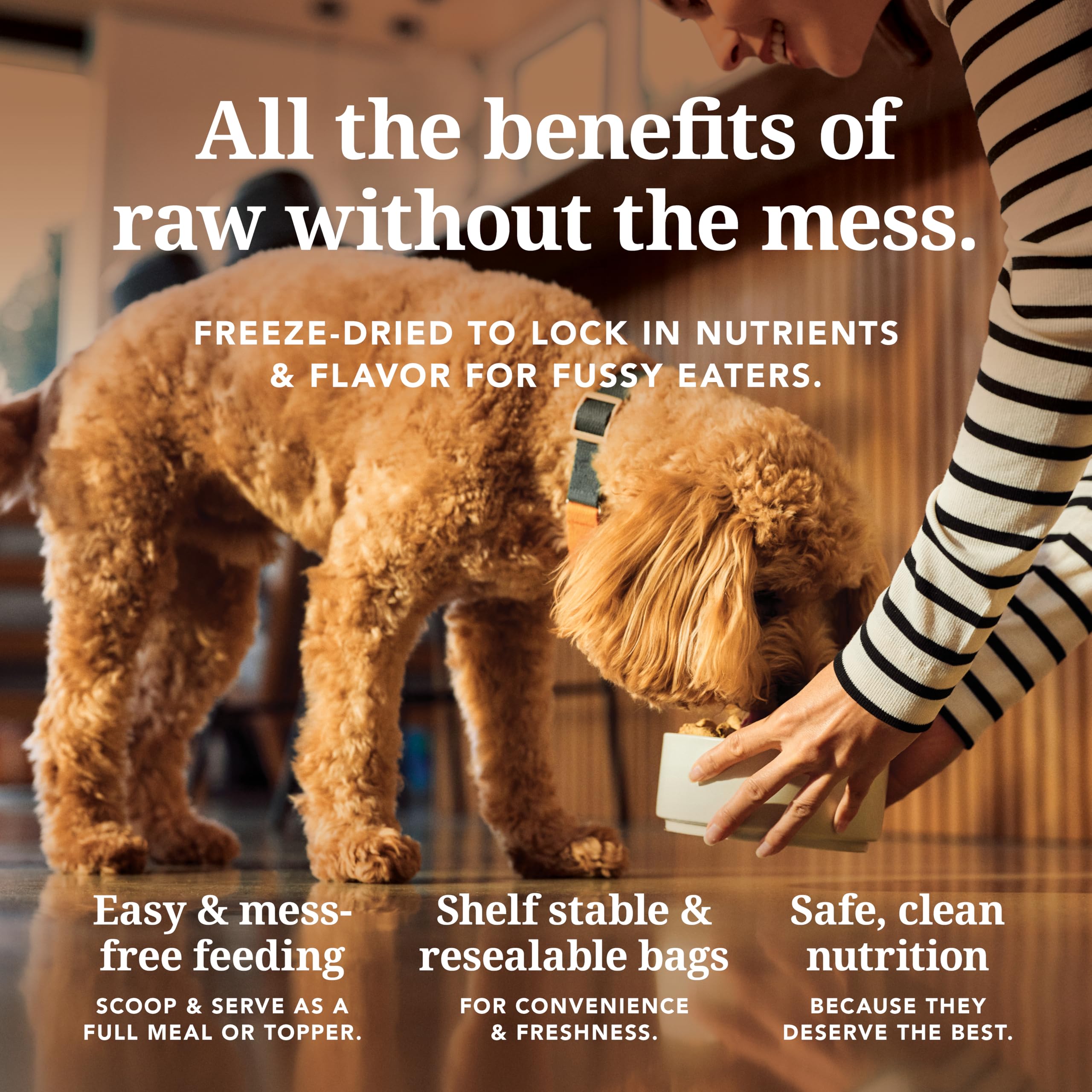 K9 Natural beef freeze-dried dog meal ready closeup highlights texture.