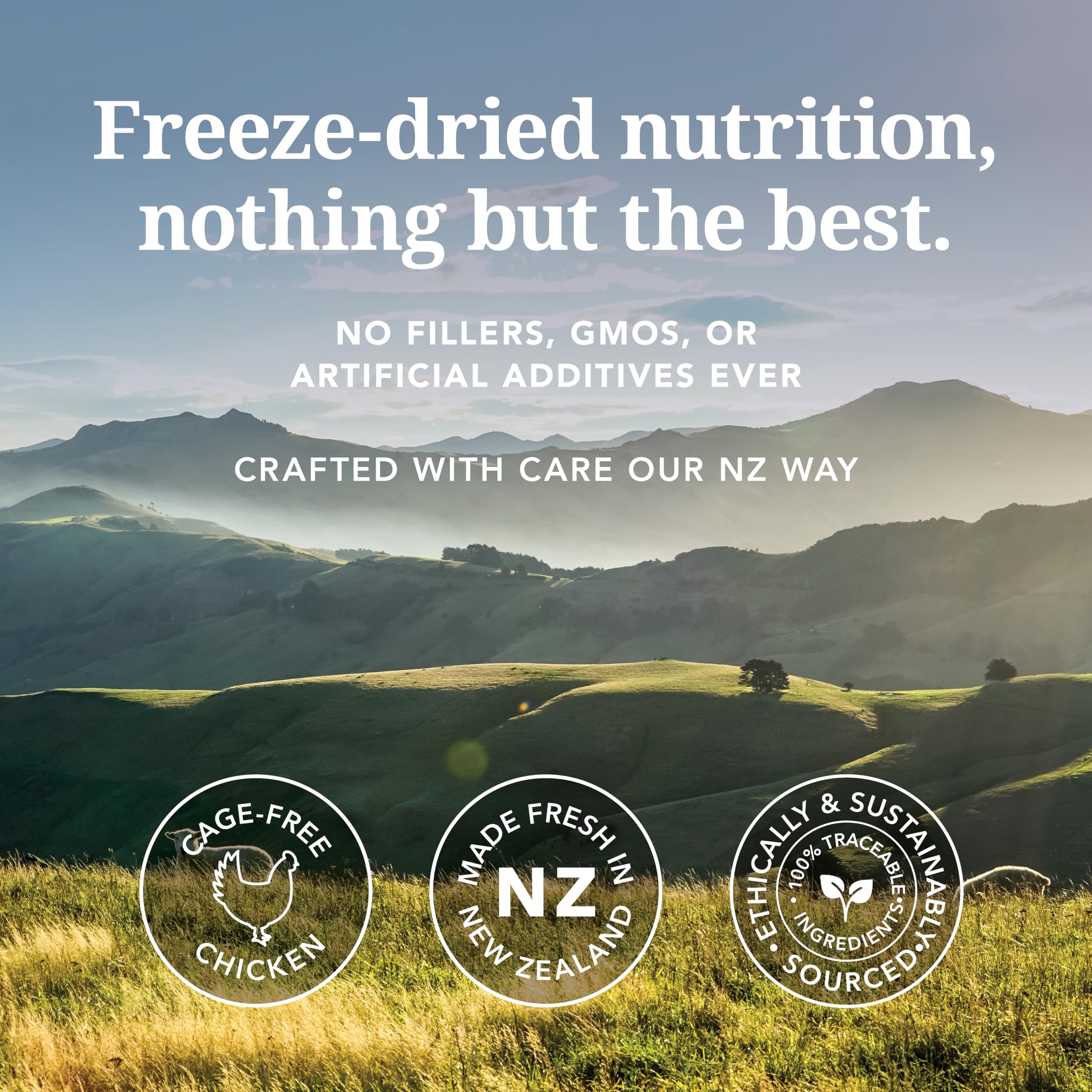 K9 Natural chicken freeze-dried dog food with water added for easy rehydration.