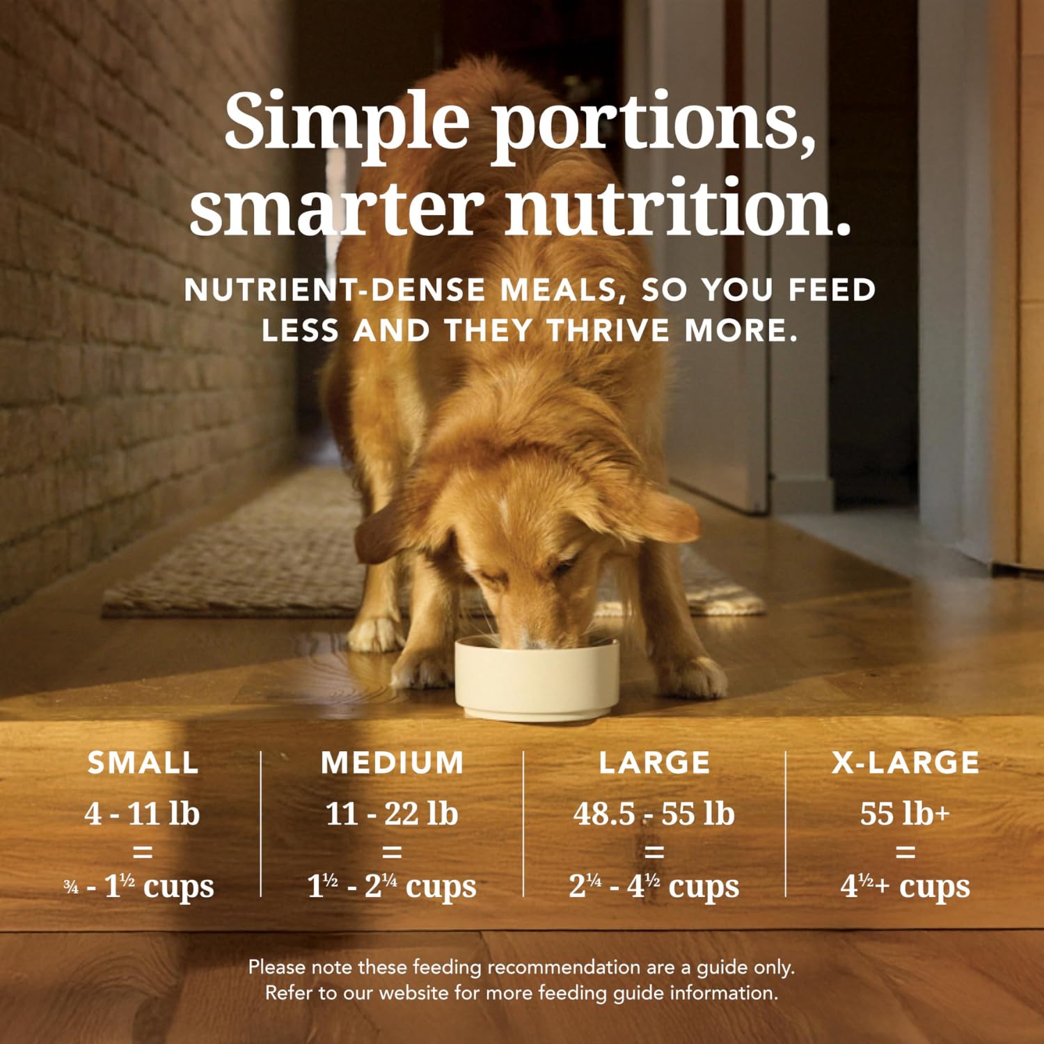K9 Natural meal topper serving dish illustrating versatile feeding options