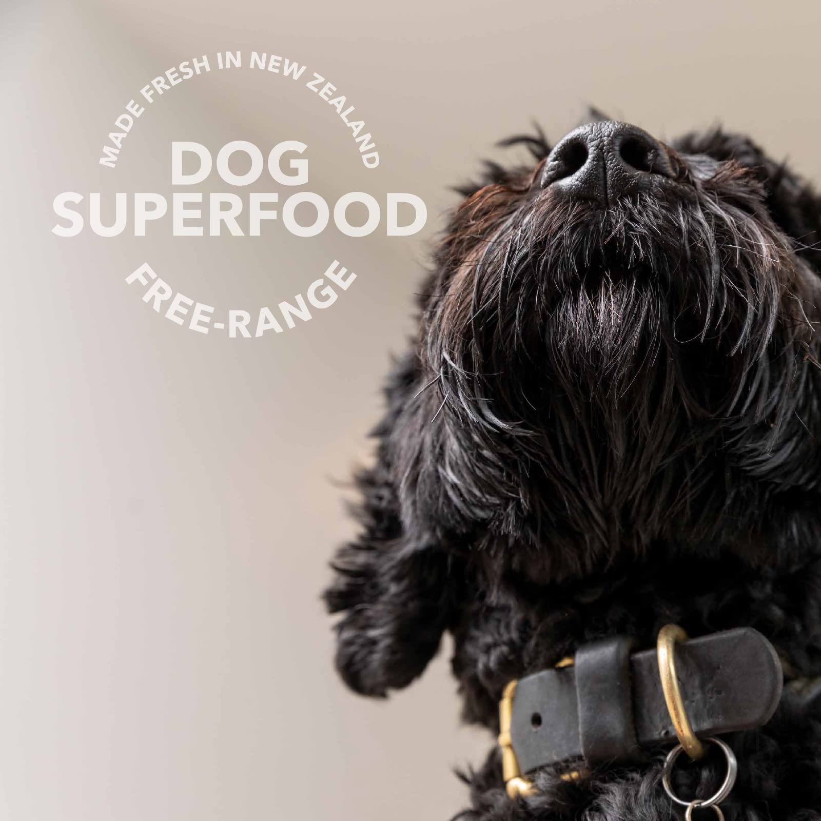 K9 Natural freeze-dried puppy topper ready to enhance dry food.