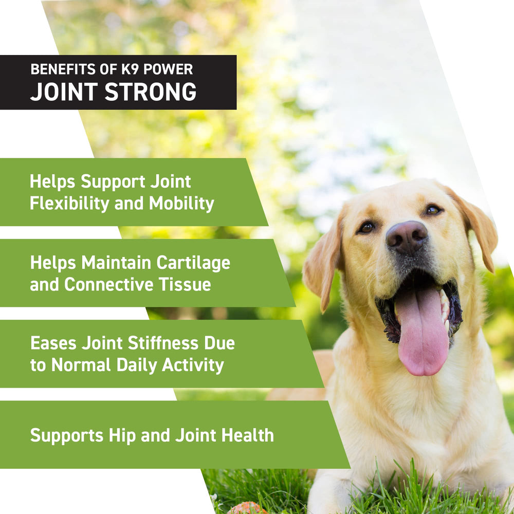 K9 Power Joint Strong jar with scoop for simple dosing.