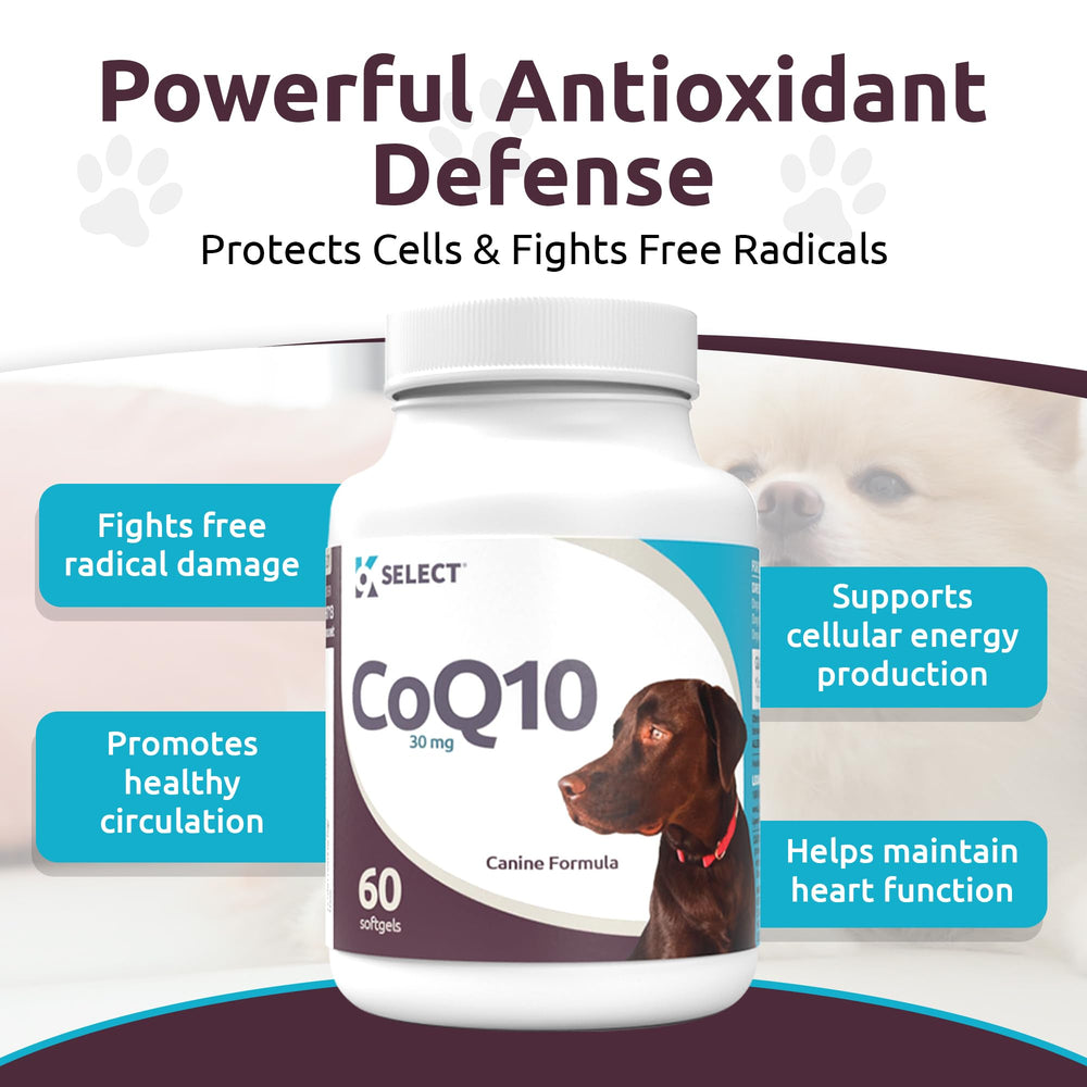 K9 Select CoQ10 heart health visual suggesting improved circulation.