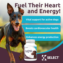 K9 Select CoQ10 label detail with dosage information for pets.