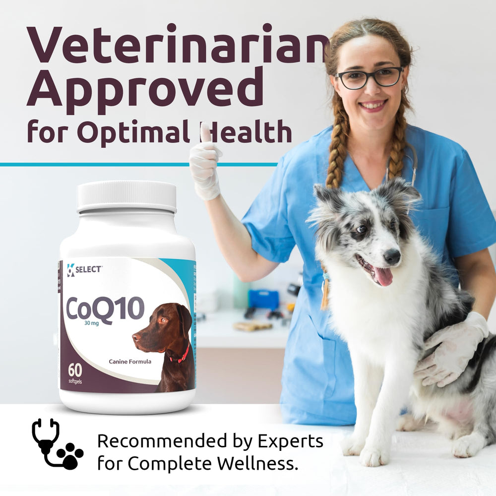 K9 Select CoQ10 packaging display emphasizing soft gel format.