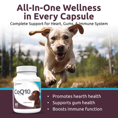 K9 Select CoQ10 soft gels close-up illustrating easy dosing for dogs.